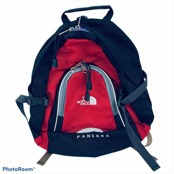 The North Face Handbags - North Face Pandora Backpack